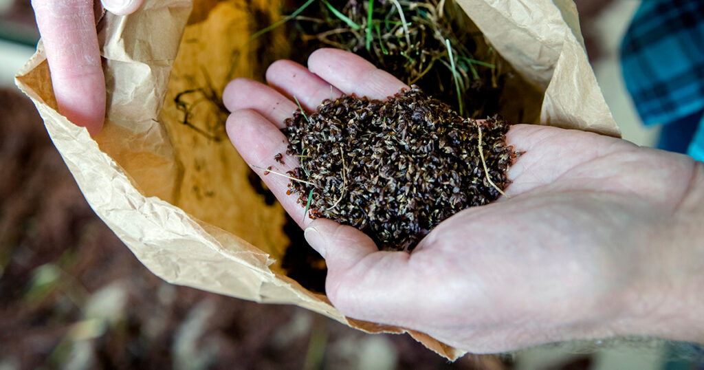 Educational Webinar on Biodiversity