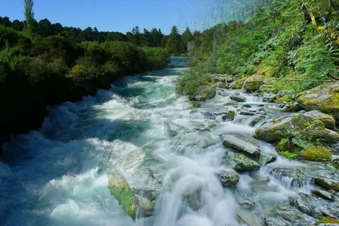 Exploring the Five Rivers Environmental Center