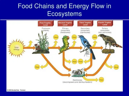 Connections with Food